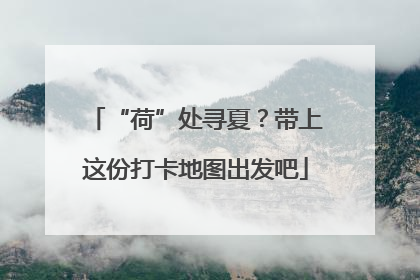 “荷”处寻夏？带上这份打卡地图出发吧