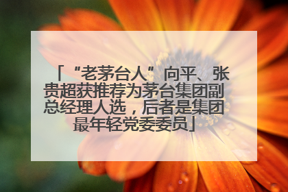“老茅台人”向平、张贵超获推荐为茅台集团副总经理人选，后者是集团最年轻党委委员