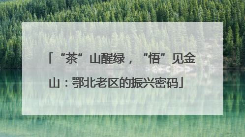 “茶”山醒绿，“悟”见金山：鄂北老区的振兴密码