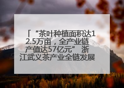 “茶叶种植面积达12.5万亩，全产业链产值达57亿元” 浙江武义茶产业全链发展“加速度”