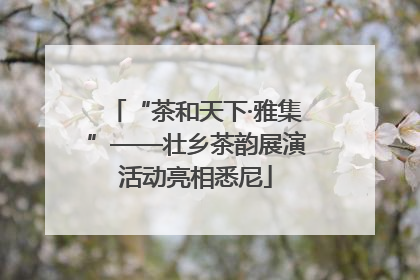 “茶和天下·雅集”——壮乡茶韵展演活动亮相悉尼