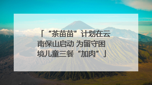 “茶苗苗”计划在云南保山启动 为留守困境儿童三餐“加肉”