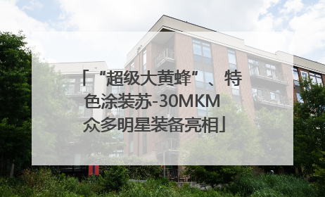 “超级大黄蜂”、特色涂装苏-30MKM 众多明星装备亮相