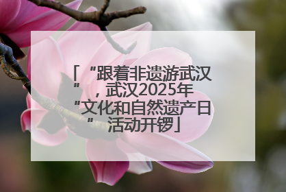 “跟着非遗游武汉”，武汉2025年“文化和自然遗产日” 活动开锣