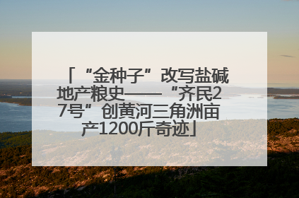 “金种子”改写盐碱地产粮史——“齐民27号”创黄河三角洲亩产1200斤奇迹
