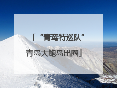 “青鸾特巡队”青岛大鲍岛出圈