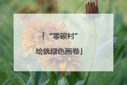 “零碳村” 绘就绿色画卷