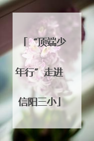 “顶端少年行”走进信阳三小