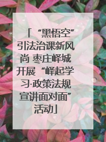 “黑悟空”引法治课新风尚 枣庄峄城开展“峄起学习·政策法规宣讲面对面”活动