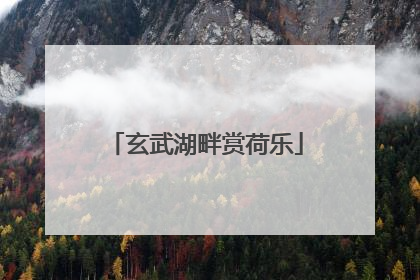 玄武湖畔赏荷乐