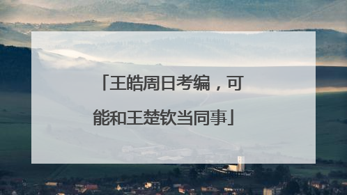 王皓周日考编，可能和王楚钦当同事