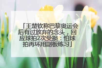 王楚钦称巴黎奥运会后有过放弃的念头，回应球拍2次受损：怕球拍再坏用副板练习