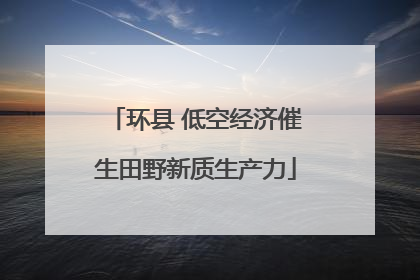 环县 低空经济催生田野新质生产力