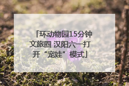环动物园15分钟文旅圈 汉阳六一打开“宠娃”模式