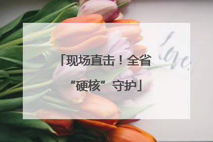现场直击！全省“硬核”守护