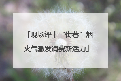 现场评丨“街巷”烟火气激发消费新活力