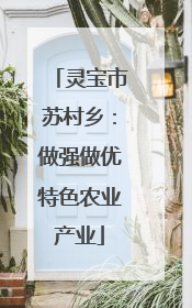 灵宝市苏村乡：做强做优特色农业产业