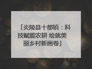 炎陵县十都镇：科技赋能农耕 绘就美丽乡村新画卷