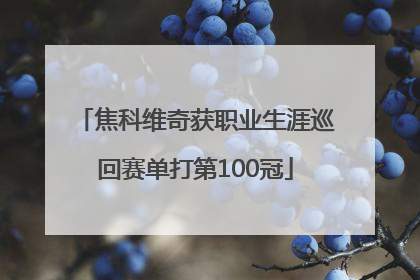 焦科维奇获职业生涯巡回赛单打第100冠