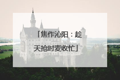 焦作沁阳：趁天抢时麦收忙