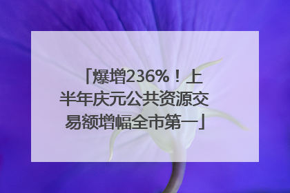 爆增236%！上半年庆元公共资源交易额增幅全市第一