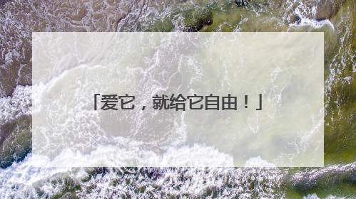 爱它，就给它自由！
