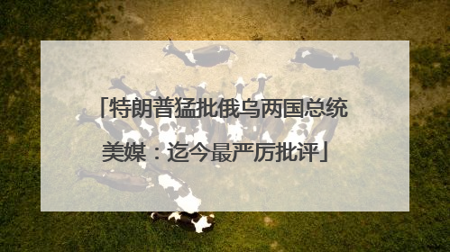 特朗普猛批俄乌两国总统 美媒：迄今最严厉批评