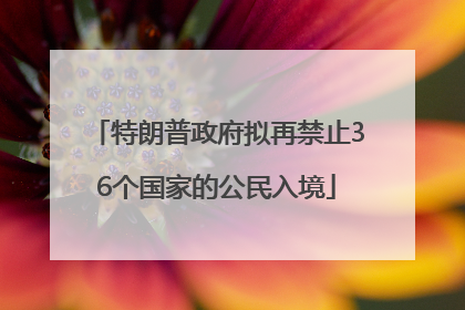 特朗普政府拟再禁止36个国家的公民入境