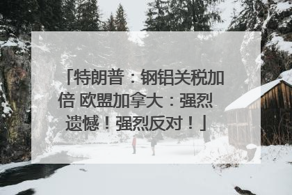 特朗普：钢铝关税加倍 欧盟加拿大：强烈遗憾！强烈反对！