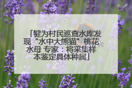 犍为村民巡查水库发现“水中大熊猫”桃花水母 专家：将采集样本鉴定具体种属