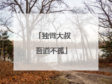 独臂大叔 吾道不孤