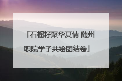 石榴籽聚华夏情 随州职院学子共绘团结卷