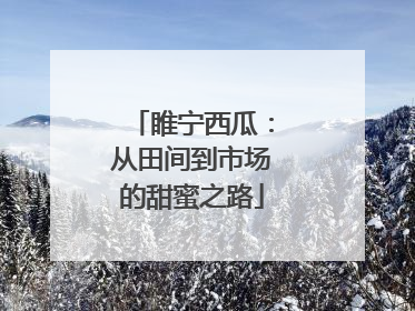 睢宁西瓜：从田间到市场的甜蜜之路