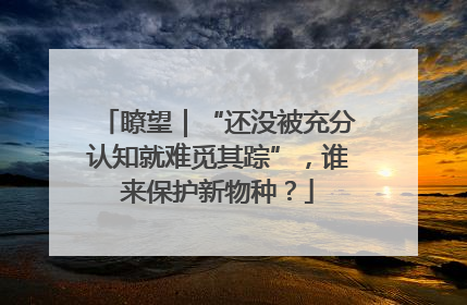 瞭望｜“还没被充分认知就难觅其踪”，谁来保护新物种？