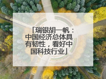 瑞银胡一帆：中国经济总体具有韧性，看好中国科技行业