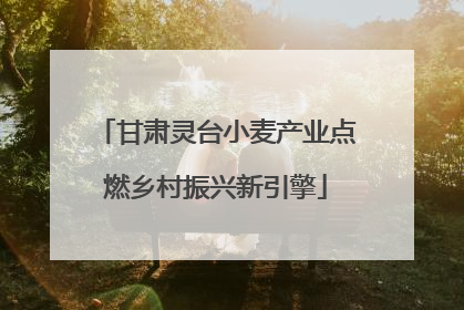 甘肃灵台小麦产业点燃乡村振兴新引擎