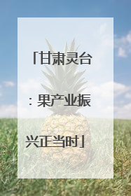 甘肃灵台：果产业振兴正当时