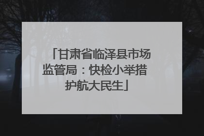 甘肃省临泽县市场监管局：快检小举措 护航大民生