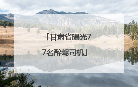 甘肃省曝光77名醉驾司机