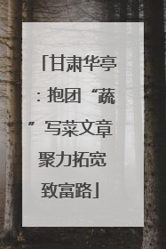 甘肃华亭：抱团“蔬”写菜文章 聚力拓宽致富路
