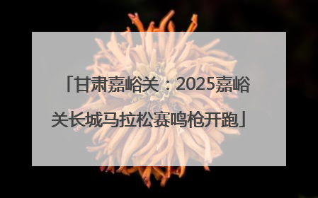 甘肃嘉峪关：2025嘉峪关长城马拉松赛鸣枪开跑