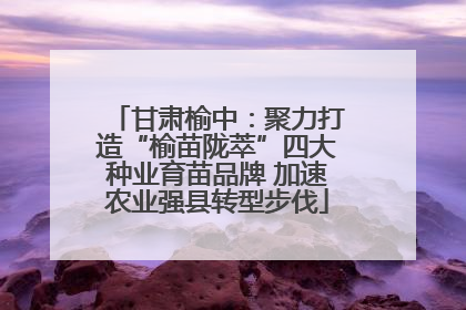 甘肃榆中：聚力打造“榆苗陇萃”四大种业育苗品牌 加速农业强县转型步伐