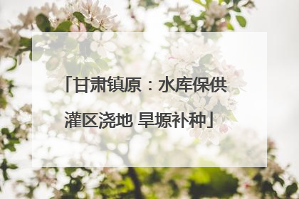 甘肃镇原：水库保供 灌区浇地 旱塬补种