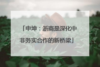 申坤：浙商是深化中非务实合作的新桥梁