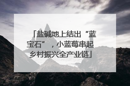 盐碱地上结出“蓝宝石”，小蓝莓串起乡村振兴全产业链
