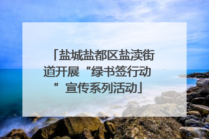 盐城盐都区盐渎街道开展“绿书签行动”宣传系列活动