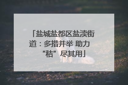盐城盐都区盐渎街道：多措并举 助力“秸”尽其用