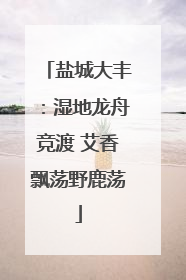 盐城大丰：湿地龙舟竞渡 艾香飘荡野鹿荡