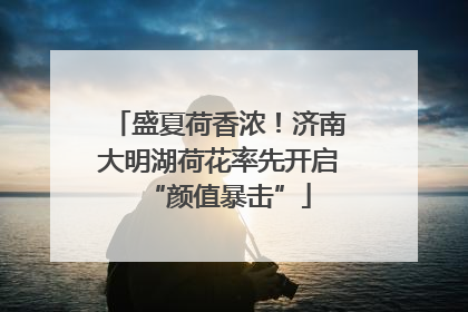 盛夏荷香浓！济南大明湖荷花率先开启“颜值暴击”