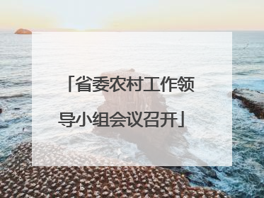 省委农村工作领导小组会议召开